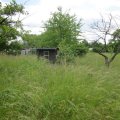 &Ouml;kol&ouml;we l&auml;dt zur Kr&auml;uterf&uuml;hrung auf die Streuobstwiese Leutzsch | Die Streuobstwiese in Leutzsch / Foto: Dr. Sabine H�bert