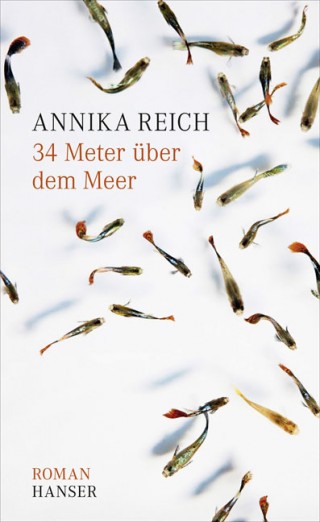Annika Reich liest im kunZ von kaufungen | Buchcover / Hanser-Verlag