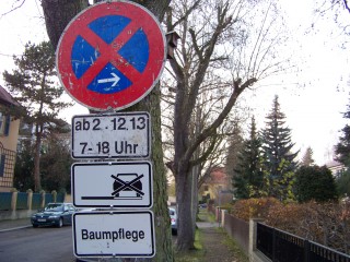 Baumpflegearbeiten in Leutzsch | Baumpflegearbeiten werden derzeit in Leutzsch durchgeführt / Foto: Enrico Engelhardt