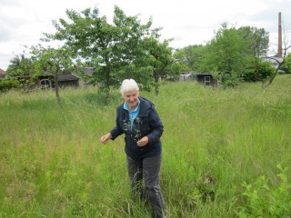 Kräuterführung über die Leutzscher Streuobstwiese | Dr. Sabine Hübert führt über die Streuobstwiese / Foto: Ökolöwe e. V.